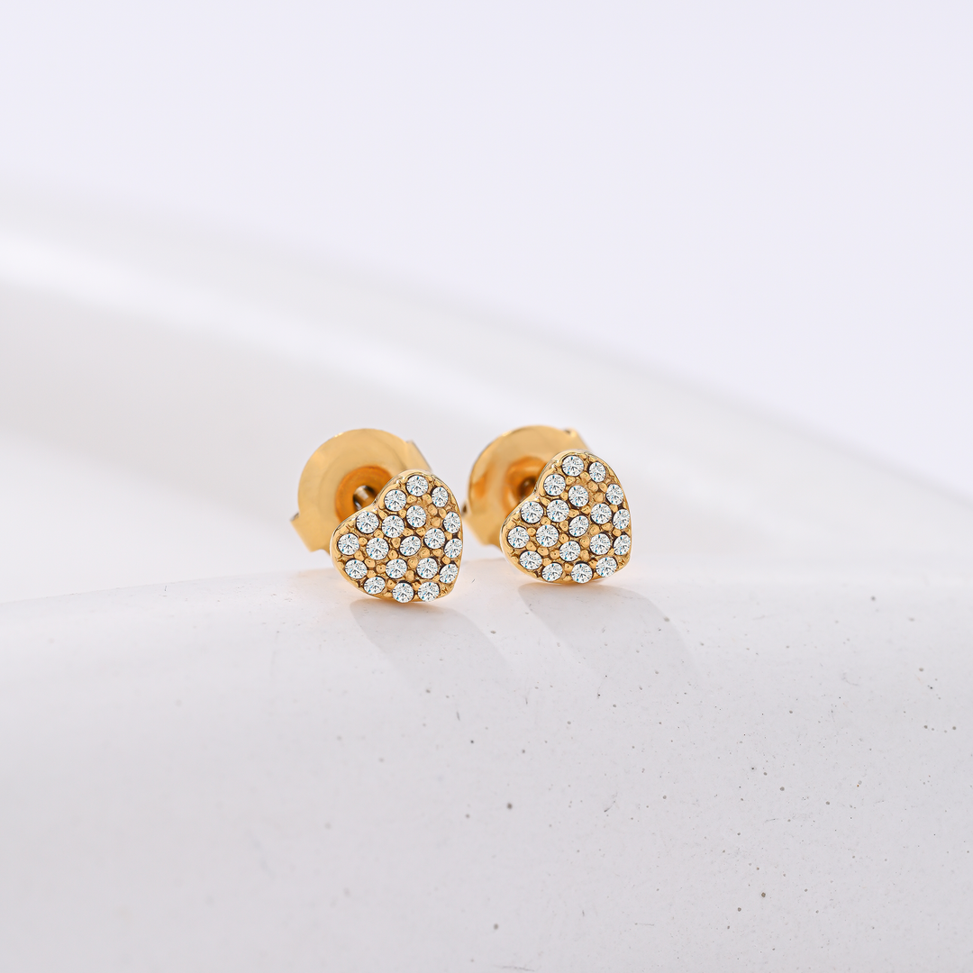 Aretes Acero Serentha