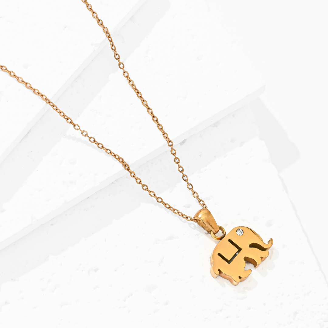 Collar Acero Elephant