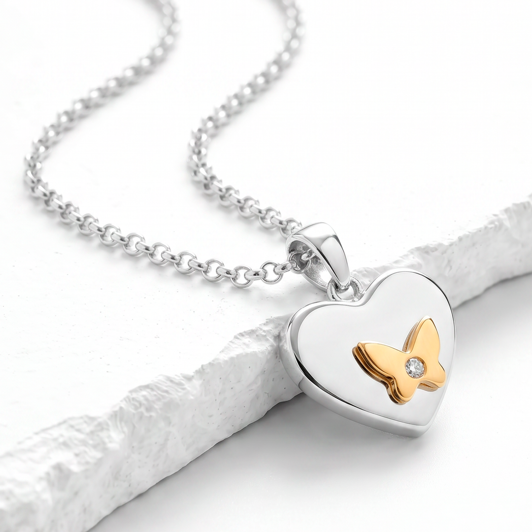 Collar Acero Dualis