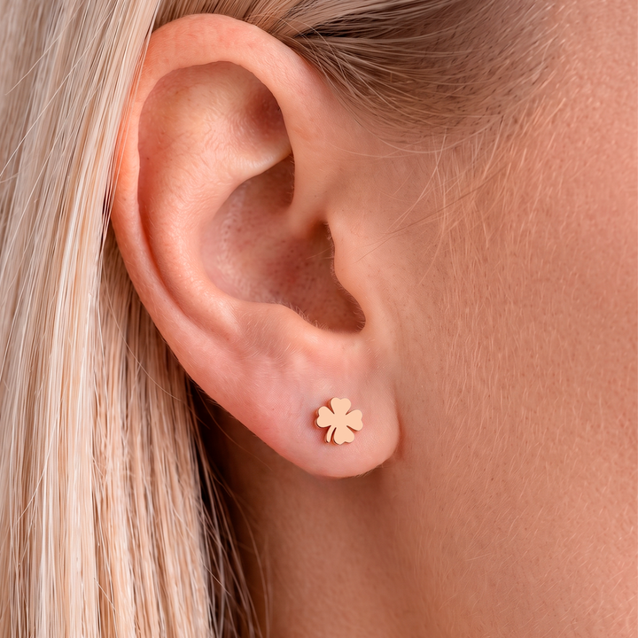 Aretes Acero Fortune