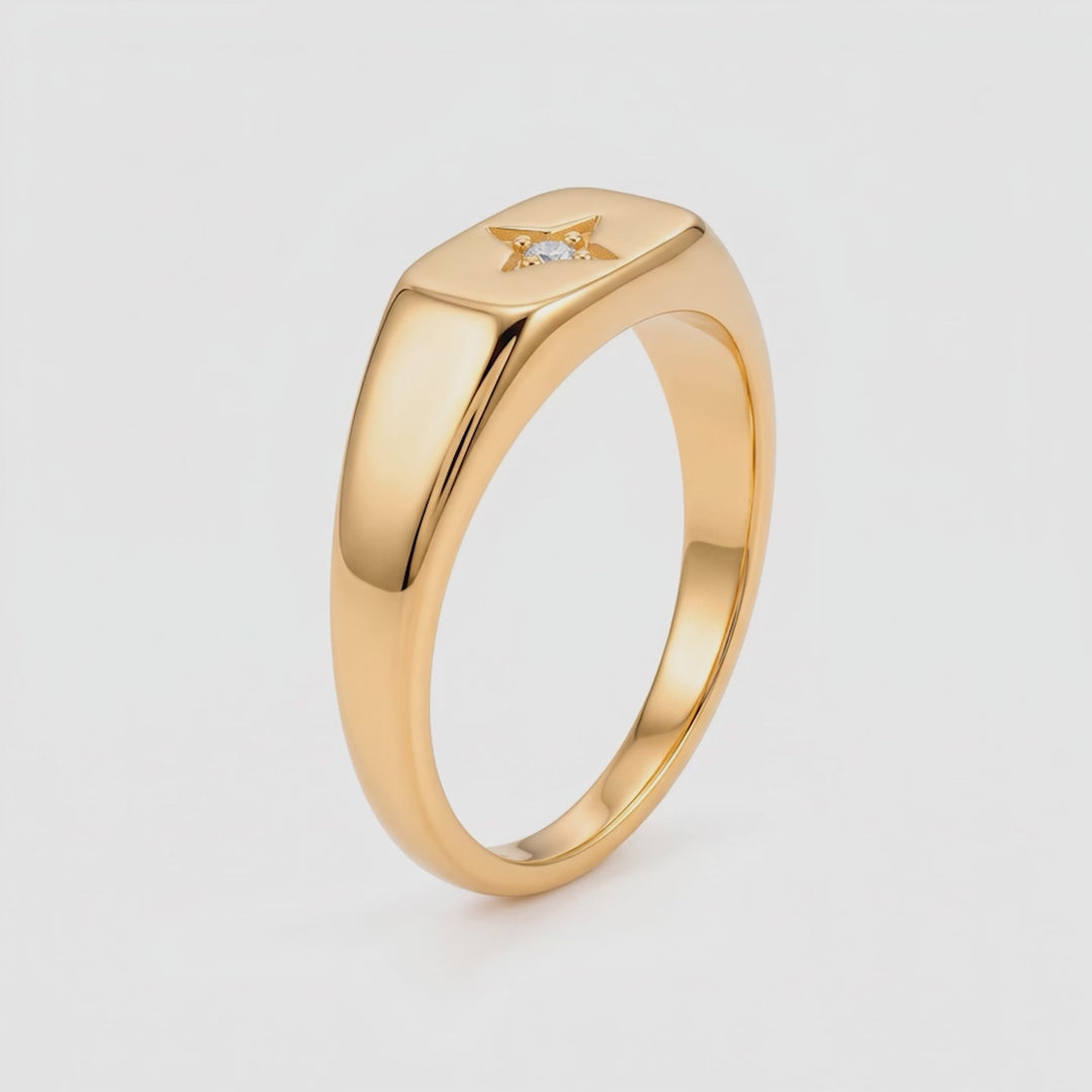 Anillo Acero Estellaris