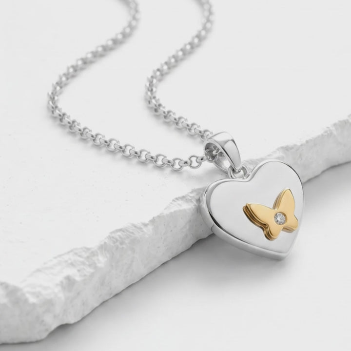 Collar Acero Dualis