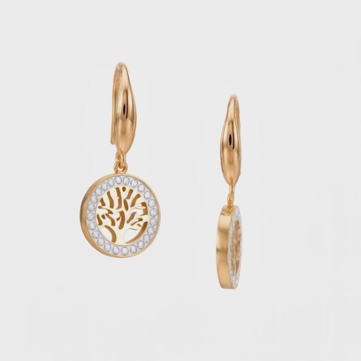 Aretes Acero Alba Tree